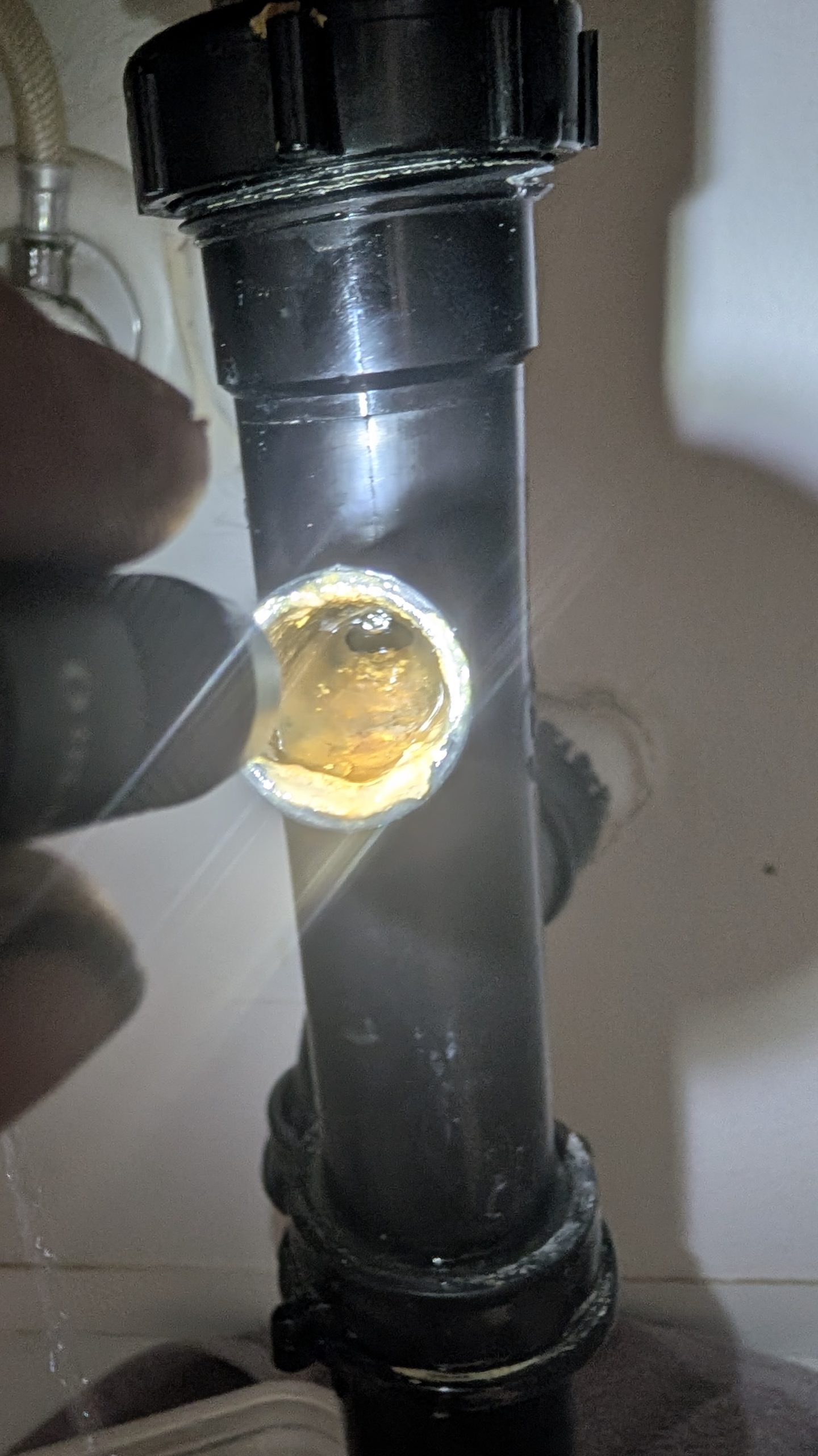 drity sink drain